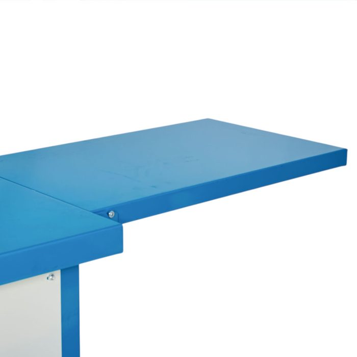 EUROSELENIA SEGA CIRCOLARE - immagine 4